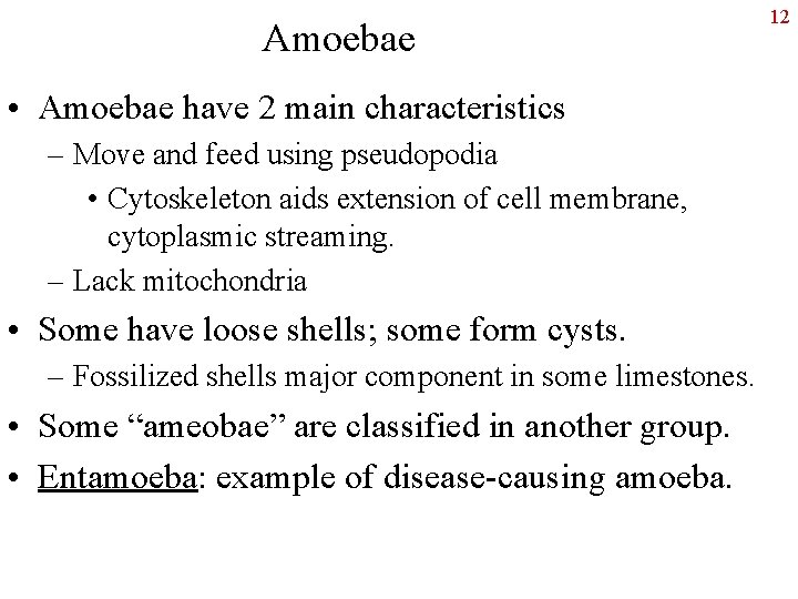 Amoebae • Amoebae have 2 main characteristics – Move and feed using pseudopodia •