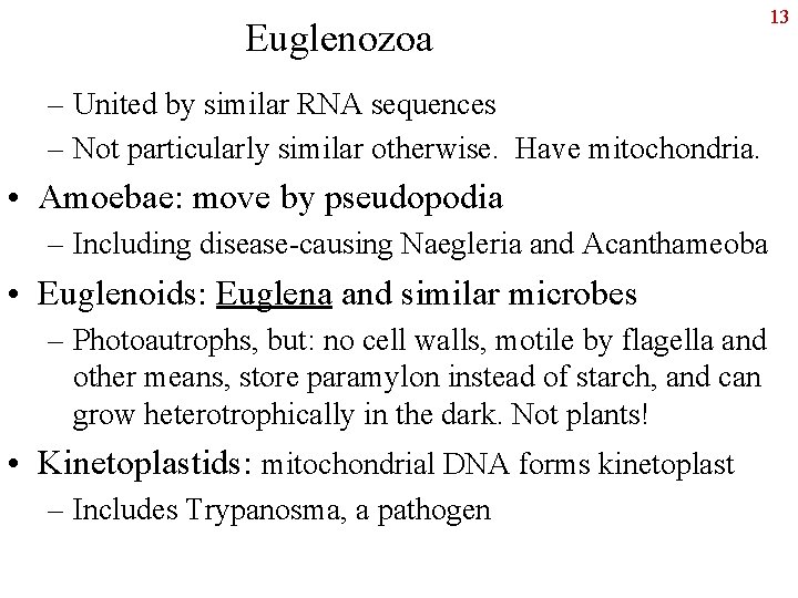 Euglenozoa – United by similar RNA sequences – Not particularly similar otherwise. Have mitochondria.