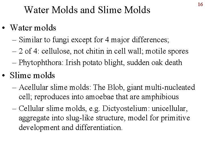 Water Molds and Slime Molds • Water molds – Similar to fungi except for