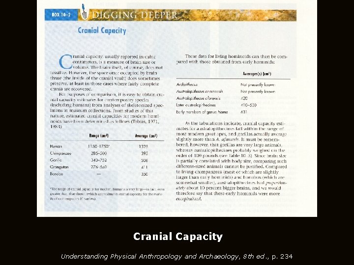 Cranial Capacity Understanding Physical Anthropology and Archaeology, 8 th ed. , p. 234 