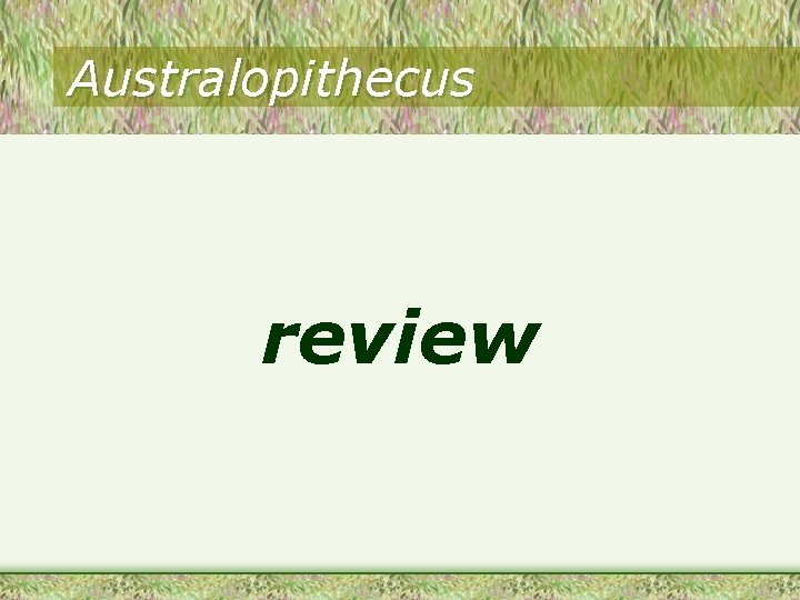 Australopithecus review 
