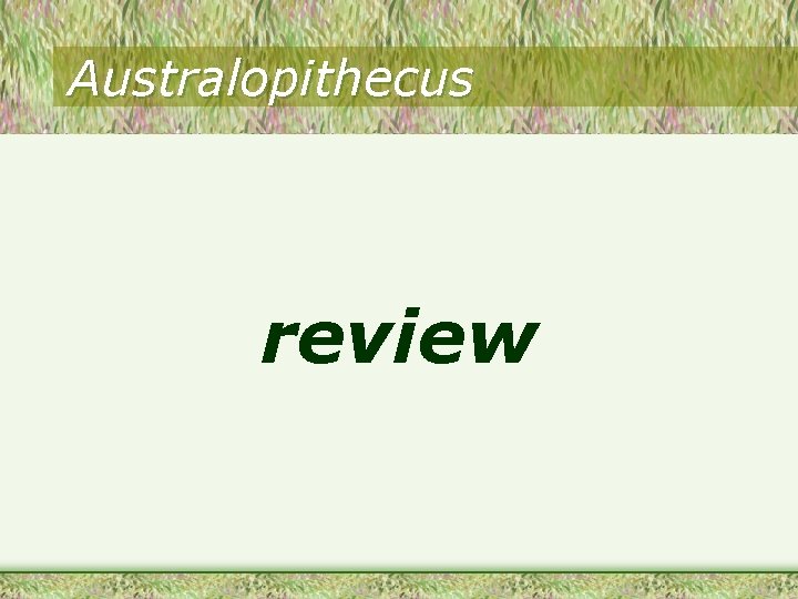 Australopithecus review 