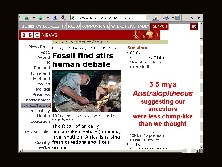 3. 5 mya Australopithecus suggesting our ancestors were less chimp-like than we thought 