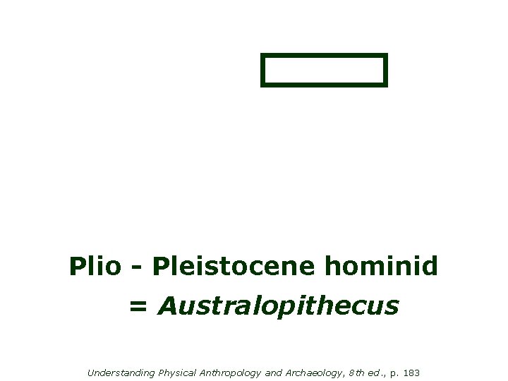 Plio - Pleistocene hominid = Australopithecus Understanding Physical Anthropology and Archaeology, 8 th ed.