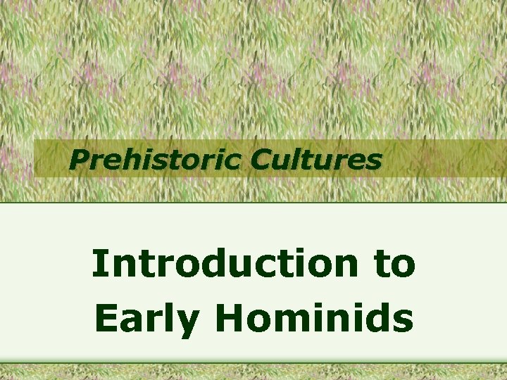 Prehistoric Cultures Introduction to Early Hominids 