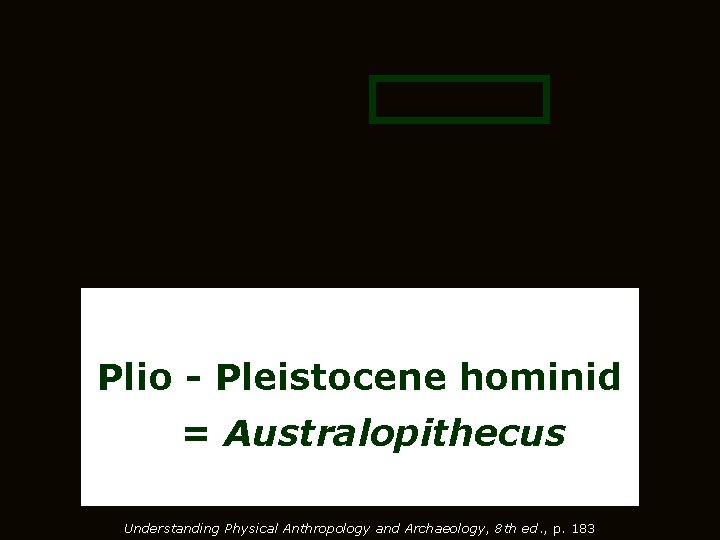 Plio - Pleistocene hominid = Australopithecus Understanding Physical Anthropology and Archaeology, 8 th ed.