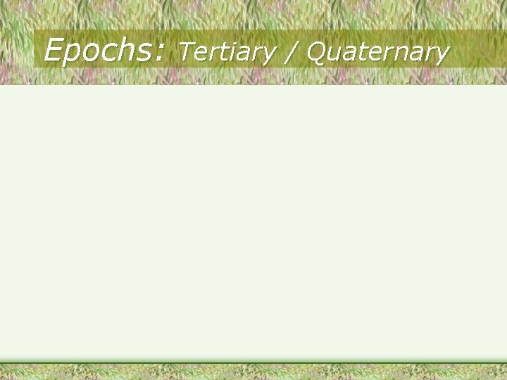 Epochs: Tertiary / Quaternary 