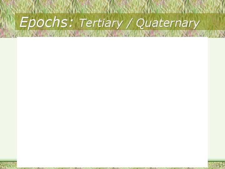 Epochs: Tertiary / Quaternary 