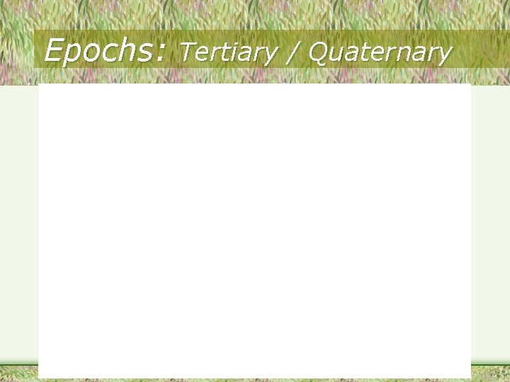 Epochs: Tertiary / Quaternary 