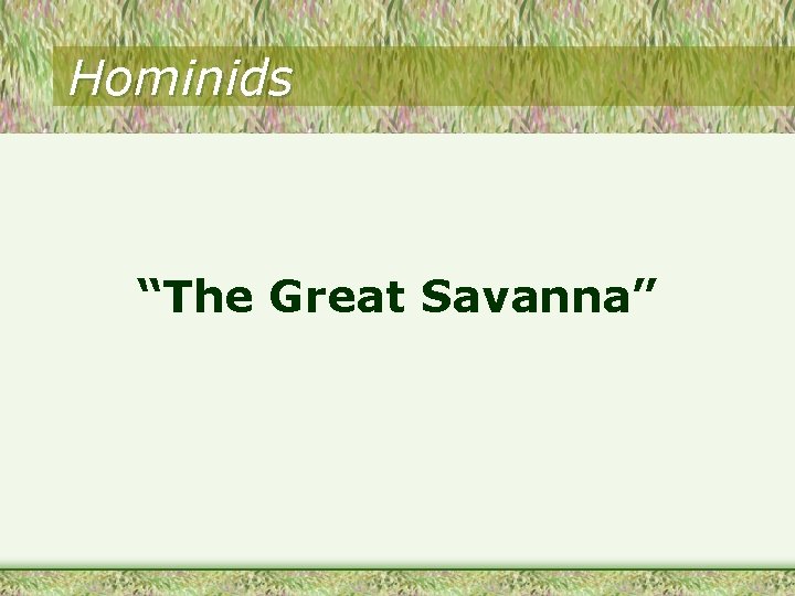 Hominids “The Great Savanna” 