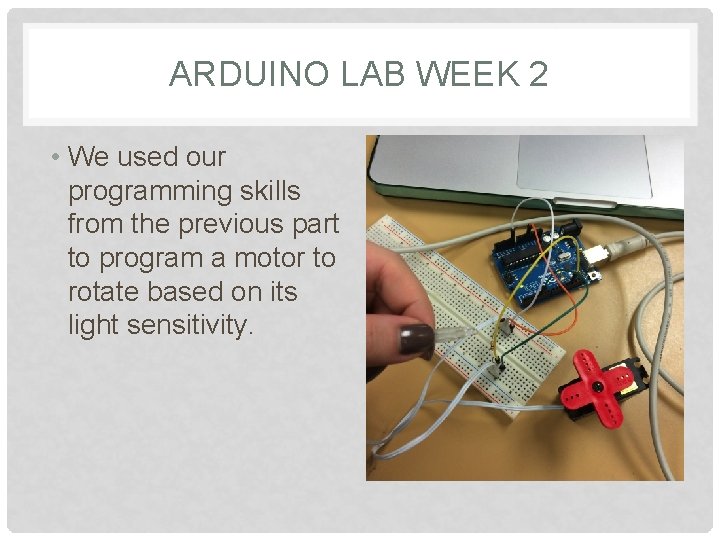 ARDUINO LAB WEEK 2 • We used our programming skills from the previous part