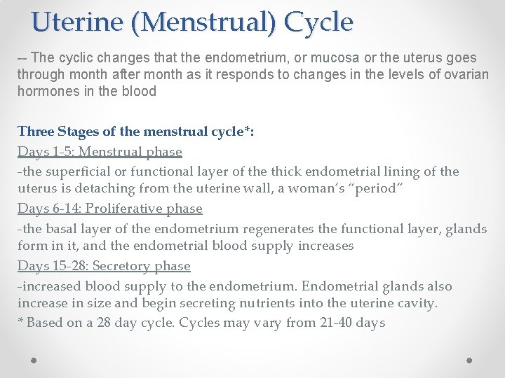 Uterine (Menstrual) Cycle -- The cyclic changes that the endometrium, or mucosa or the Uterine (Menstrual) Cycle -- The cyclic changes that the endometrium, or mucosa or the