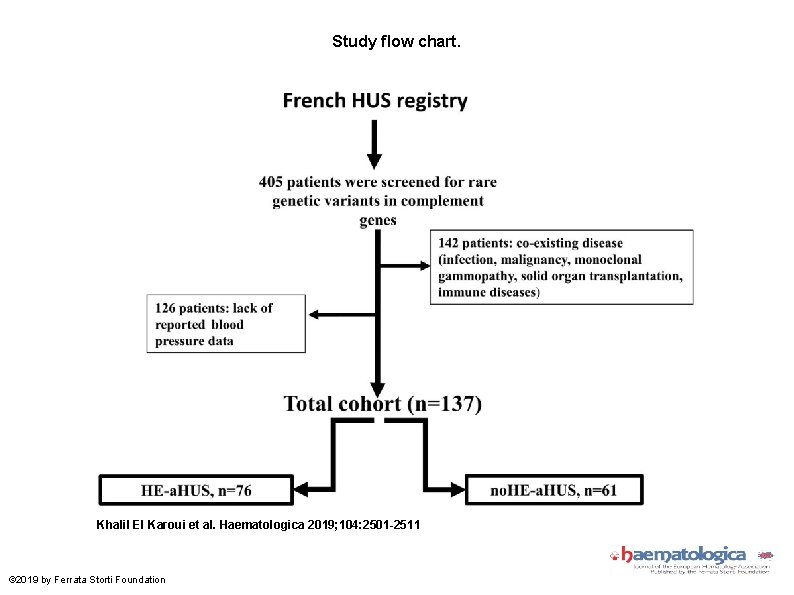 Study flow chart. Khalil El Karoui et al. Haematologica 2019; 104: 2501 -2511 ©