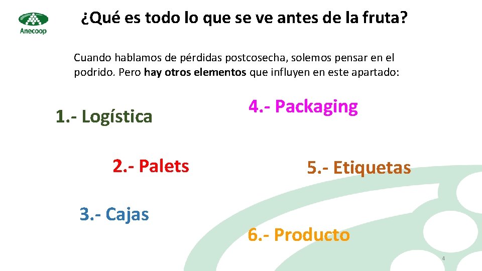 ¿Qué es todo lo que se ve antes de la fruta? Cuando hablamos de