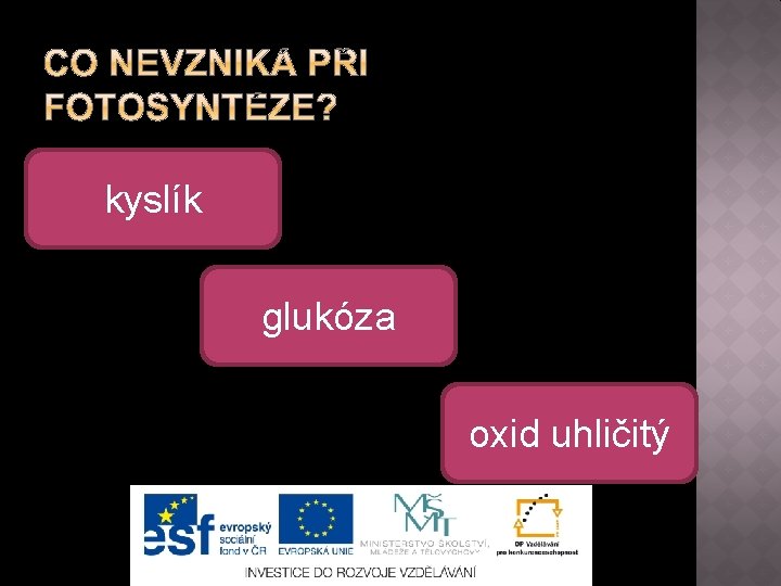 kyslík glukóza oxid uhličitý 