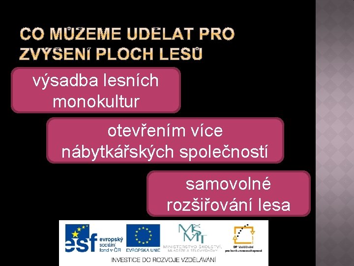 výsadba lesních monokultur otevřením více nábytkářských společností samovolné rozšiřování lesa 