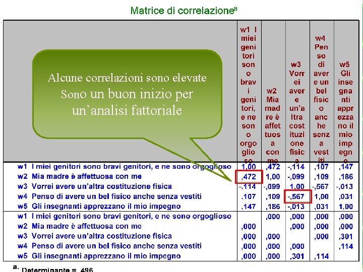 Alcune correlazioni sono elevate Sono un buon inizio per un’analisi fattoriale 