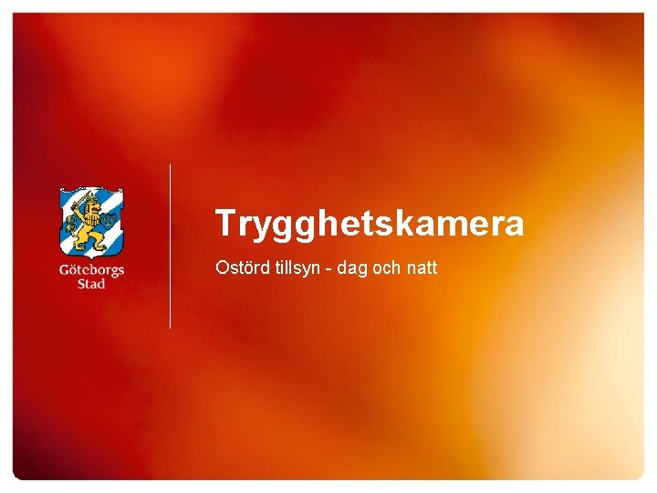 Trygghetskamera Ostörd tillsyn - dag och natt 