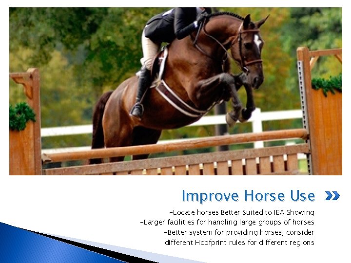 Improve Horse Use -Locate horses Better Suited to IEA Showing -Larger facilities for handling