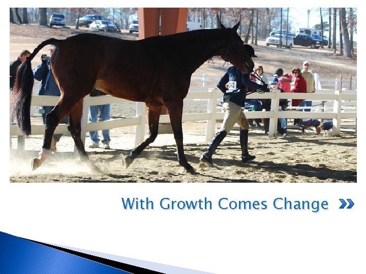 With Growth Comes Change 