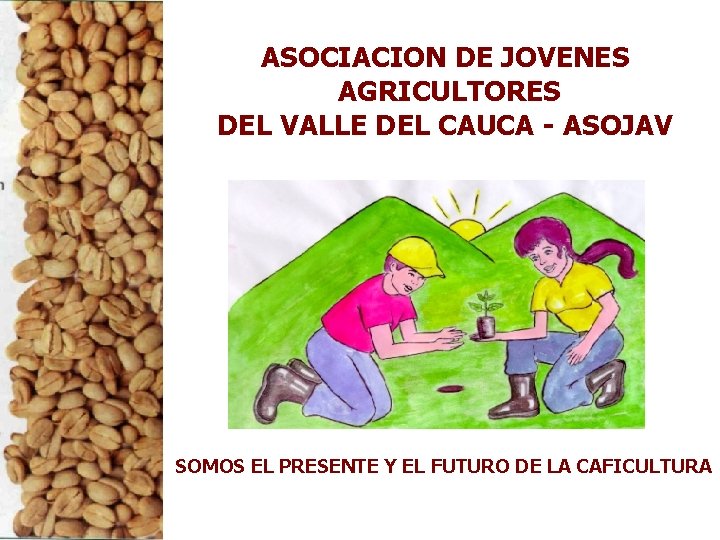 ASOCIACION DE JOVENES AGRICULTORES DEL VALLE DEL CAUCA - ASOJAV SOMOS EL PRESENTE Y