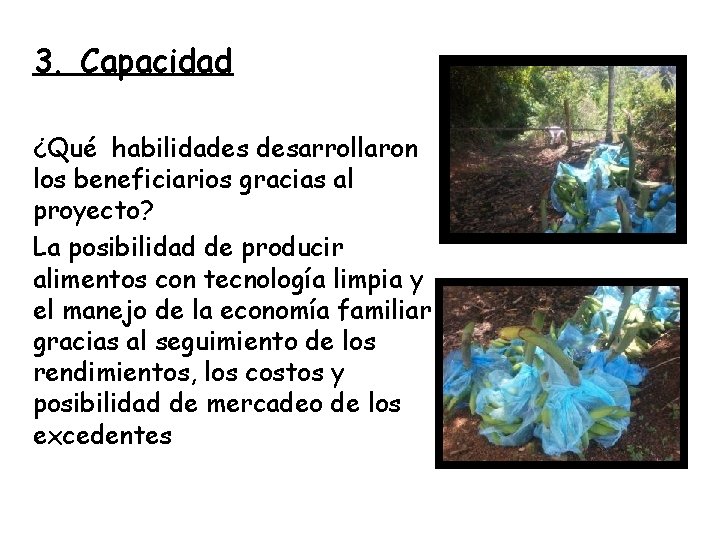 3. Capacidad ¿Qué habilidades desarrollaron los beneficiarios gracias al proyecto? La posibilidad de producir