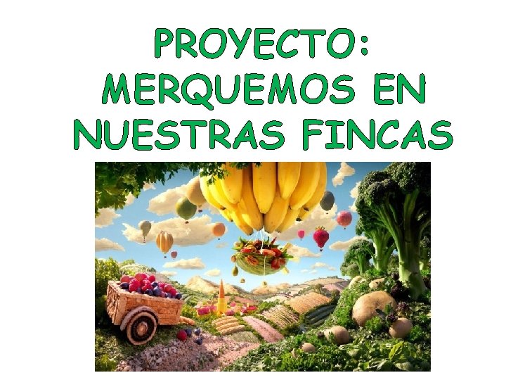 PROYECTO: MERQUEMOS EN NUESTRAS FINCAS 