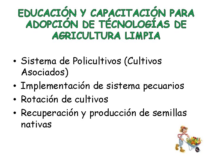 EDUCACIÓN Y CAPACITACIÓN PARA ADOPCIÓN DE TÉCNOLOGÍAS DE AGRICULTURA LIMPIA • Sistema de Policultivos