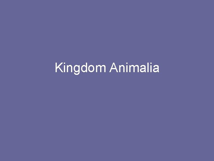 Kingdom Animalia 