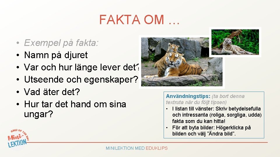 FAKTA OM … • • • Exempel på fakta: Namn på djuret Var och