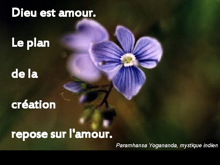 Dieu est amour. Le plan de la création repose sur l'amour. Paramhansa Yogananda, mystique