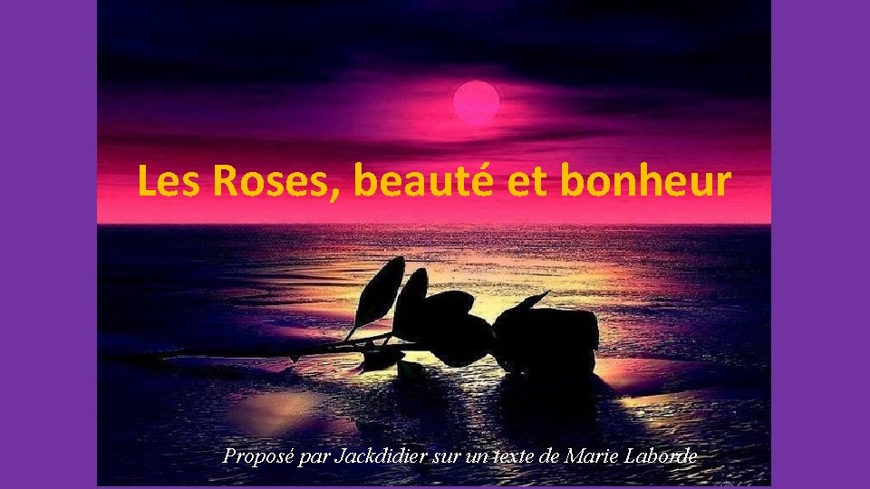 Les Roses, beauté et bonheur Proposé par Jackdidier sur un texte de Marie Laborde