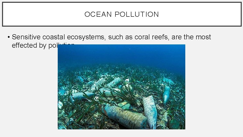 OCEAN POLLUTION • Sensitive coastal ecosystems, such as coral reefs, are the most effected