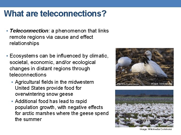 What are teleconnections? § Teleconnection: a phenomenon that links remote regions via cause and