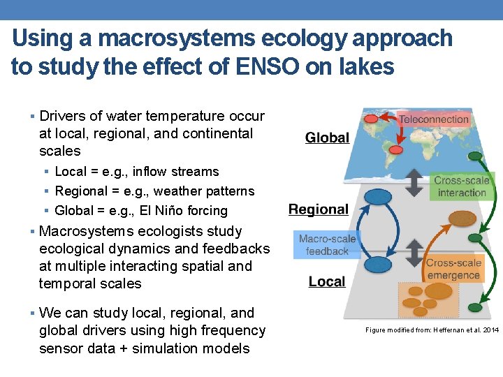 Using a macrosystems ecology approach to study the effect of ENSO on lakes §