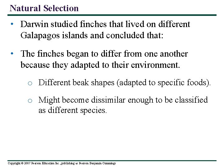 Natural Selection • Darwin studied finches that lived on different Galapagos islands and concluded