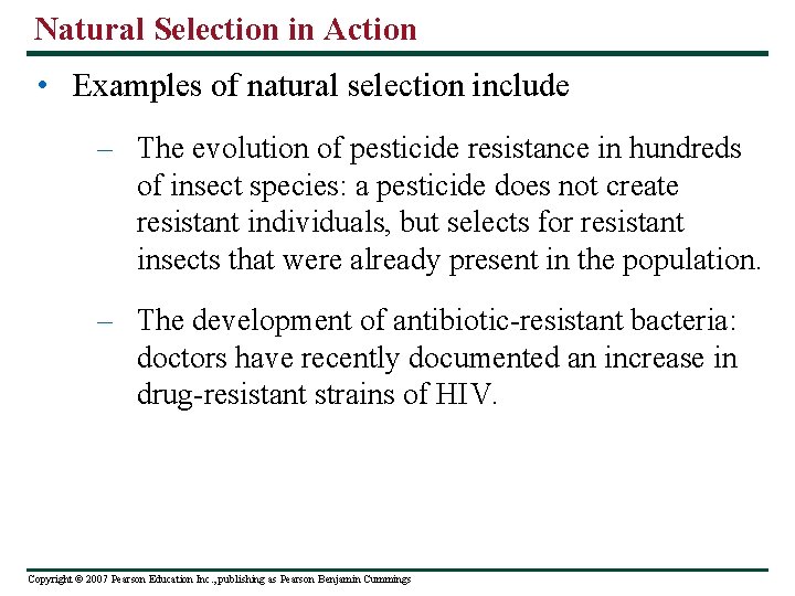 Natural Selection in Action • Examples of natural selection include – The evolution of