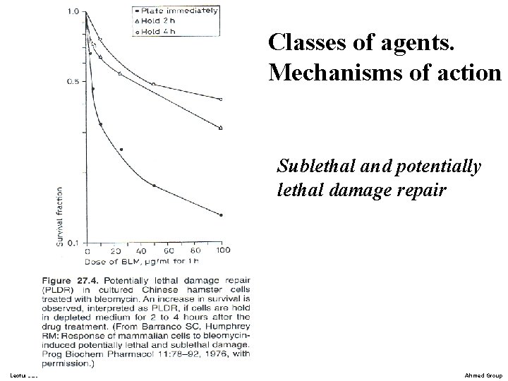Classes of agents. Mechanisms of action Sublethal and potentially lethal damage repair Lecture 23 Classes of agents. Mechanisms of action Sublethal and potentially lethal damage repair Lecture 23