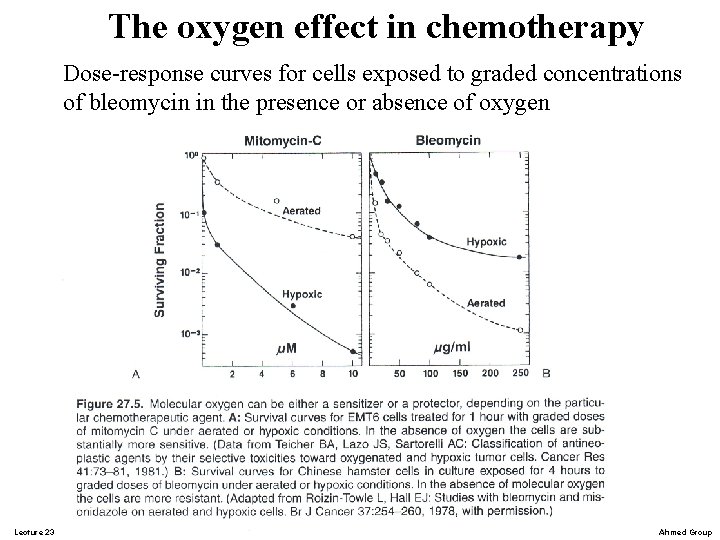 The oxygen effect in chemotherapy Dose-response curves for cells exposed to graded concentrations of The oxygen effect in chemotherapy Dose-response curves for cells exposed to graded concentrations of
