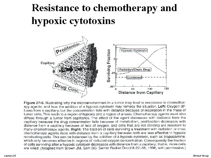 Resistance to chemotherapy and hypoxic cytotoxins Lecture 23 Ahmed Group Resistance to chemotherapy and hypoxic cytotoxins Lecture 23 Ahmed Group