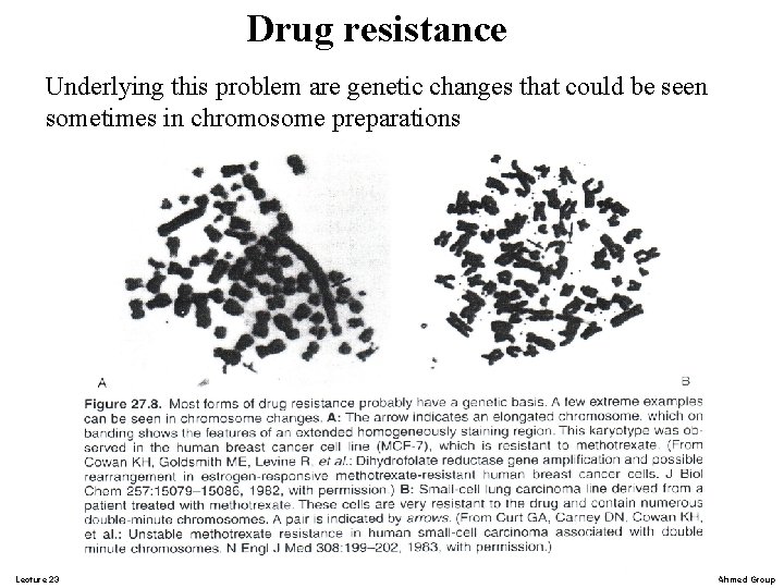 Drug resistance Underlying this problem are genetic changes that could be seen sometimes in Drug resistance Underlying this problem are genetic changes that could be seen sometimes in