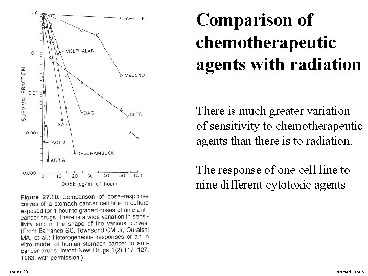 Comparison of chemotherapeutic agents with radiation There is much greater variation of sensitivity to Comparison of chemotherapeutic agents with radiation There is much greater variation of sensitivity to