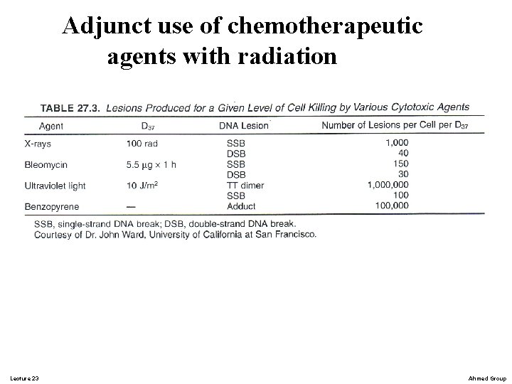 Adjunct use of chemotherapeutic agents with radiation Lecture 23 Ahmed Group Adjunct use of chemotherapeutic agents with radiation Lecture 23 Ahmed Group