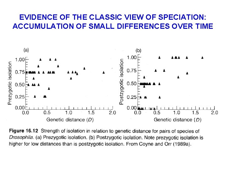 EVIDENCE OF THE CLASSIC VIEW OF SPECIATION: ACCUMULATION OF SMALL DIFFERENCES OVER TIME 