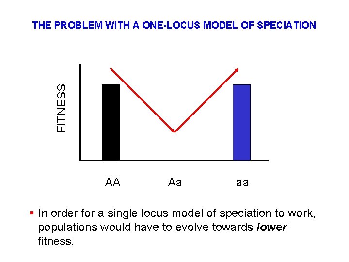 FITNESS THE PROBLEM WITH A ONE-LOCUS MODEL OF SPECIATION AA Aa aa § In