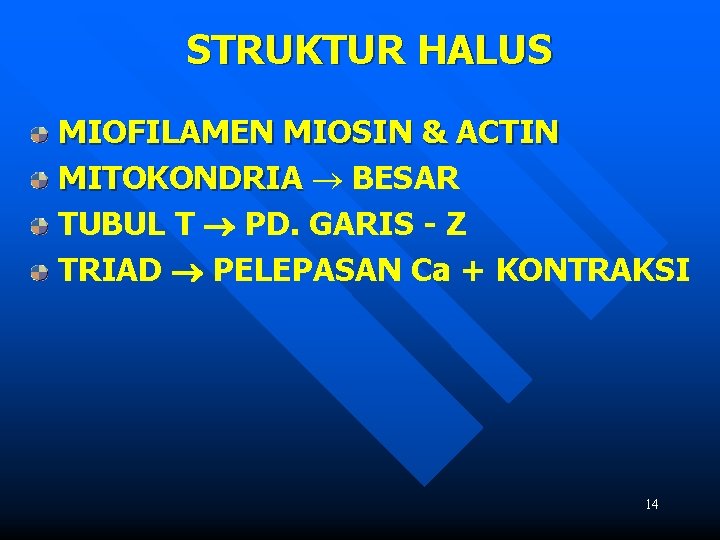 STRUKTUR HALUS MIOFILAMEN MIOSIN & ACTIN MITOKONDRIA BESAR TUBUL T PD. GARIS - Z