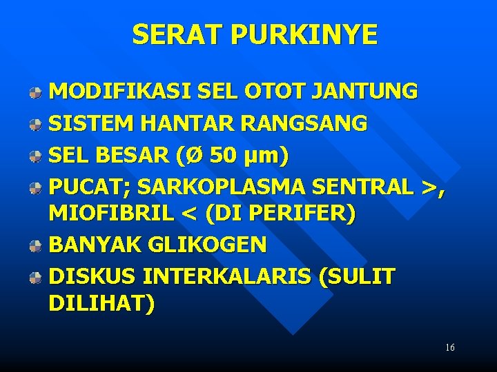 SERAT PURKINYE MODIFIKASI SEL OTOT JANTUNG SISTEM HANTAR RANGSANG SEL BESAR (Ø 50 µm)