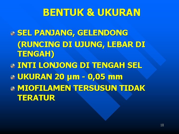 BENTUK & UKURAN SEL PANJANG, GELENDONG (RUNCING DI UJUNG, LEBAR DI TENGAH) INTI LONJONG