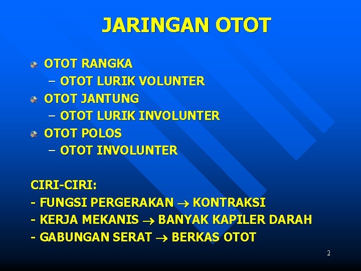 JARINGAN OTOT RANGKA – OTOT LURIK VOLUNTER OTOT JANTUNG – OTOT LURIK INVOLUNTER OTOT