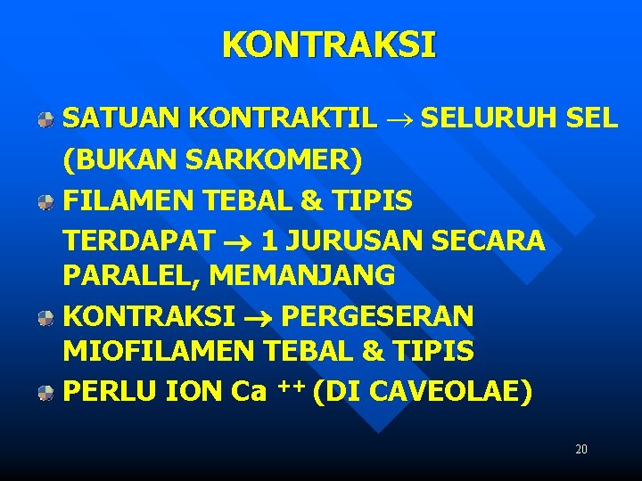 KONTRAKSI SATUAN KONTRAKTIL SELURUH SEL (BUKAN SARKOMER) FILAMEN TEBAL & TIPIS TERDAPAT 1 JURUSAN